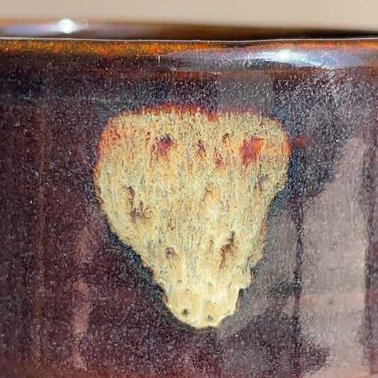Close-up of a textured surface with a focus on a small, irregularly shaped object.