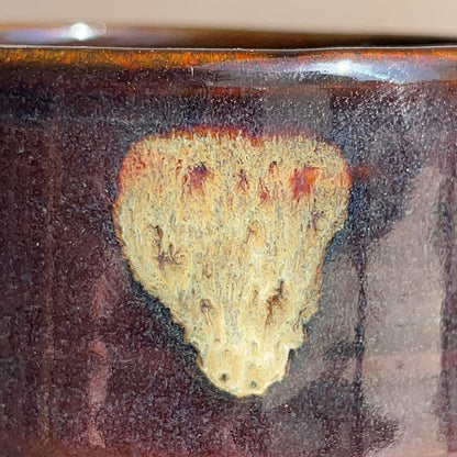Close-up of a textured surface with a focus on a small, irregularly shaped object.